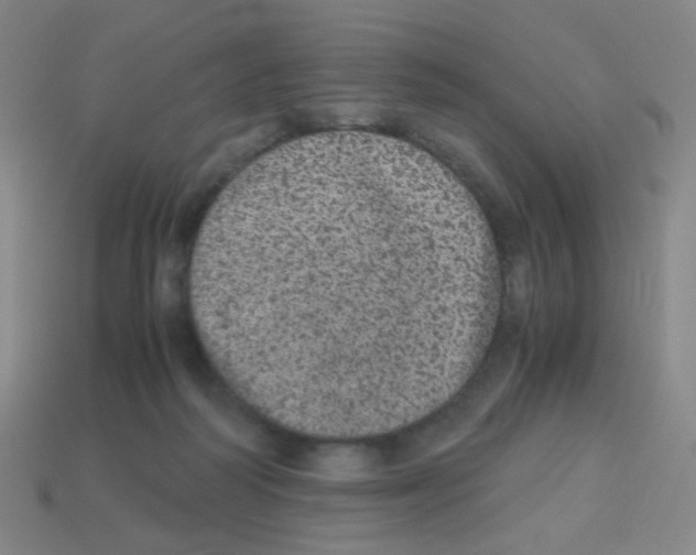 X0000113240218200910221107