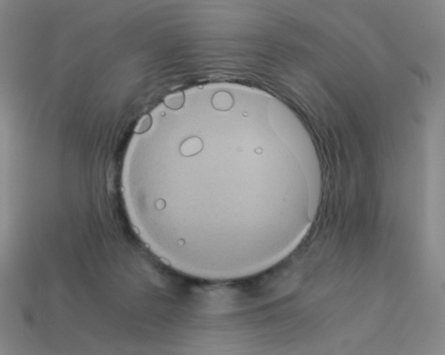 X0000113240219200910221107