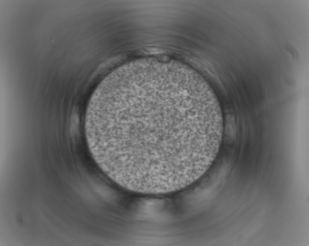 X0000113240220200910221107