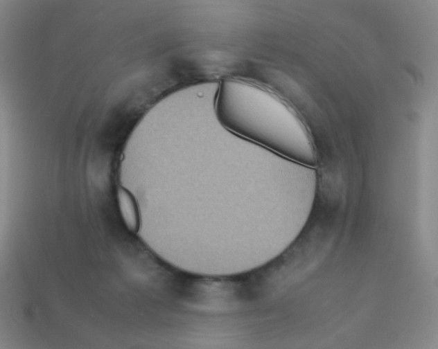 X0000113240221200910221107
