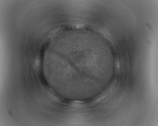 X0000113240222200910221107