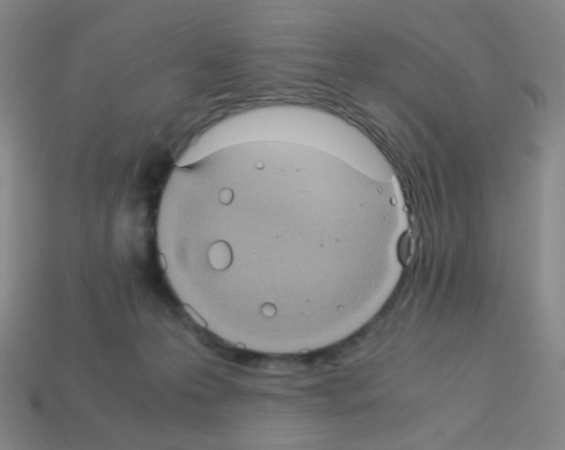 X0000113240223200910221107