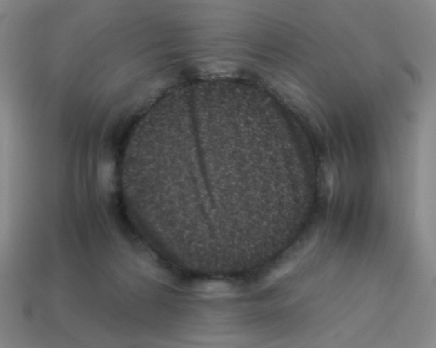 X0000113240224200910221107