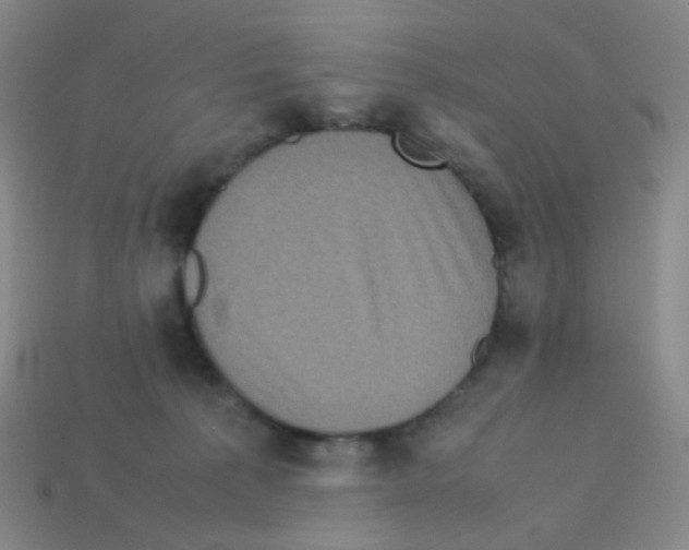X0000113240225200910221107