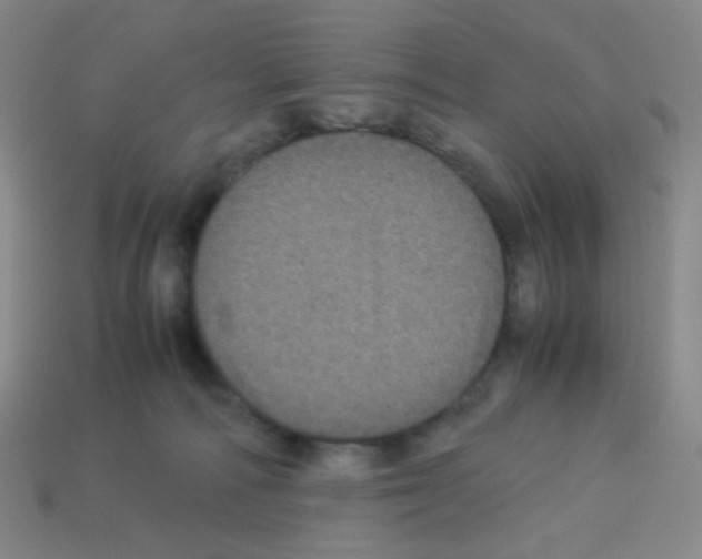 X0000113240226200910221107