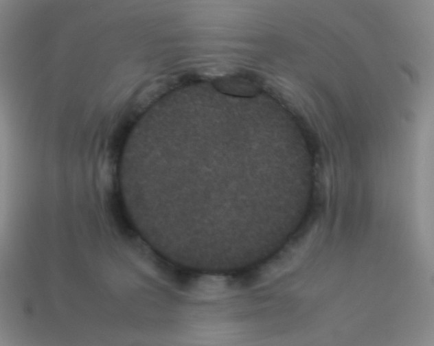 X0000113240227200910221107