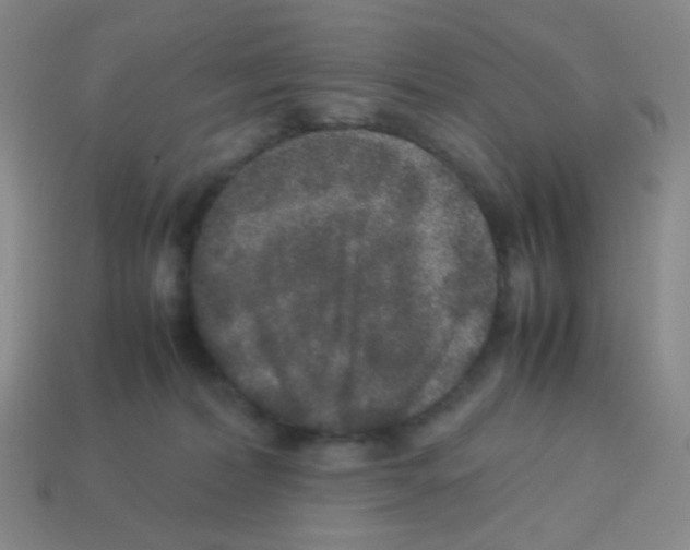 X0000113240228200910221107