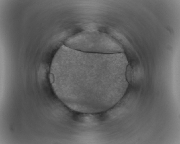 X0000113240229200910221107