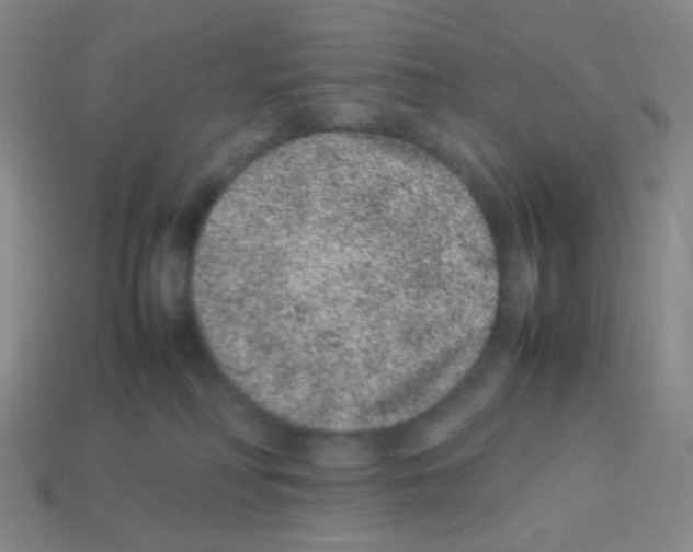 X0000113240230200910221107