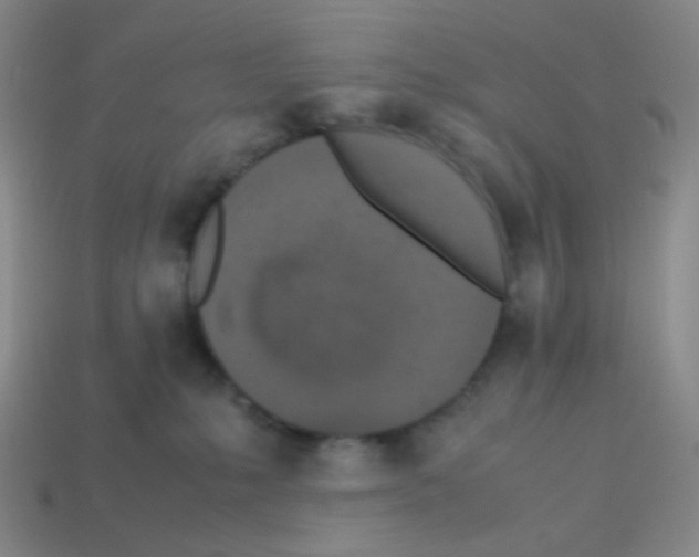 X0000113240231200910221107