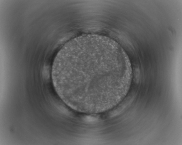 X0000113240232200910221107