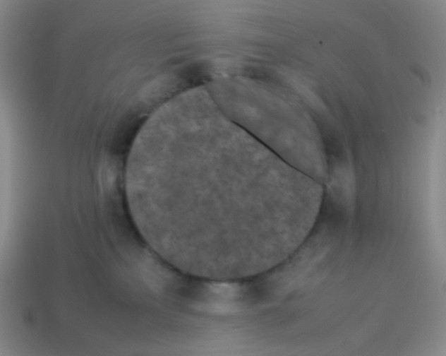 X0000113240233200910221107