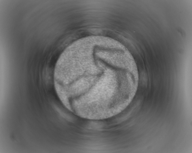 X0000113240234200910221107