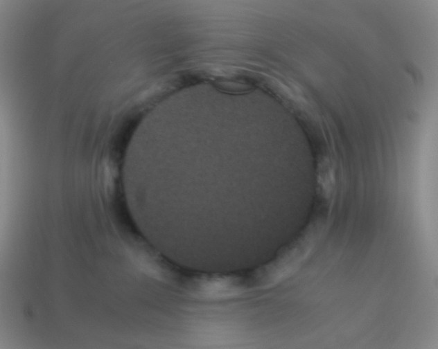 X0000113240235200910221107