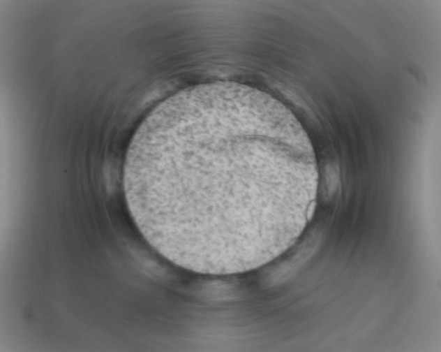 X0000113240236200910221107