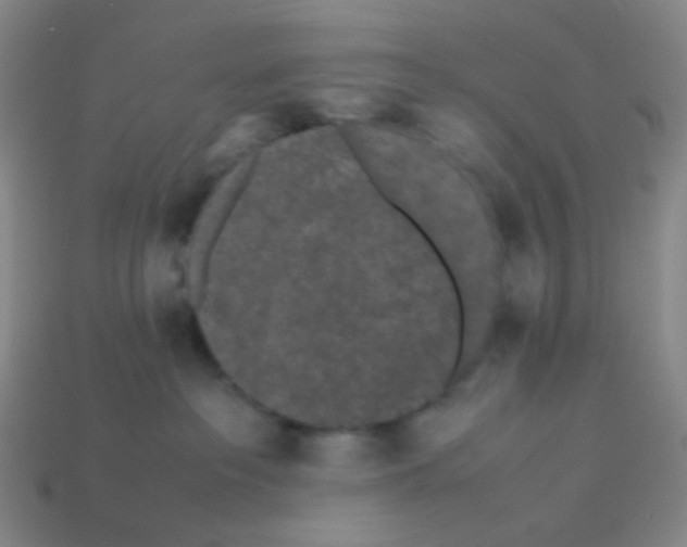 X0000113240237200910221107