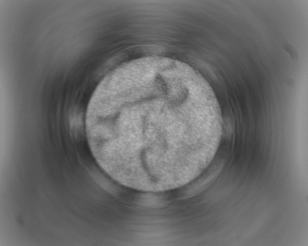 X0000113240238200910221107