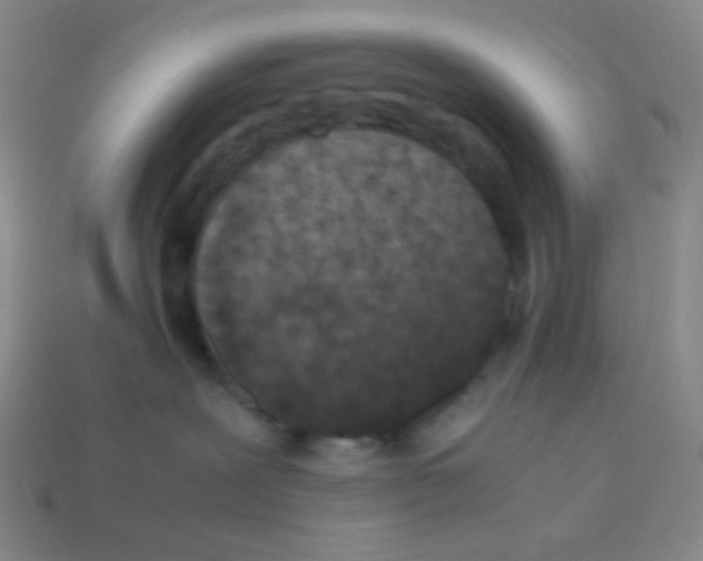 X0000113240239200910221107