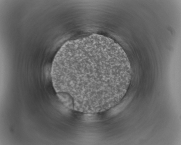 X0000113240240200910221107