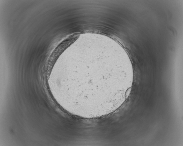 X0000113240241200910221106