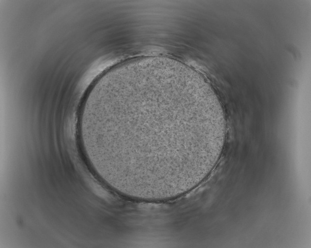 X0000113240242200910221106