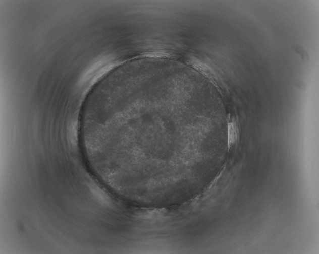 X0000113240243200910221106