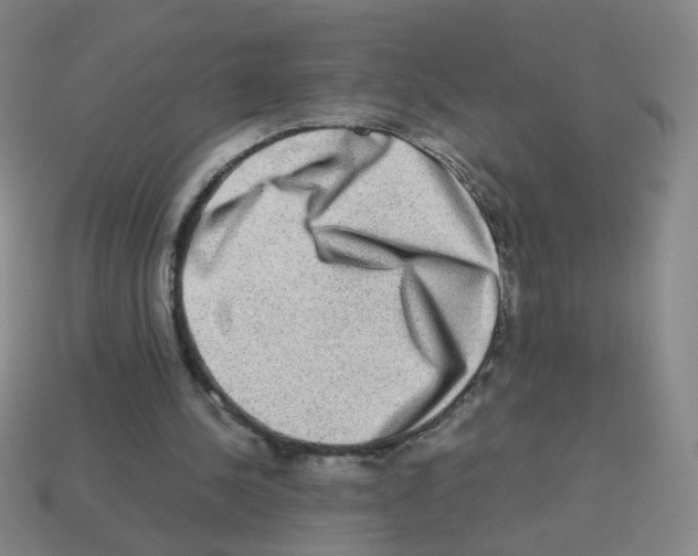 X0000113240244200910221106