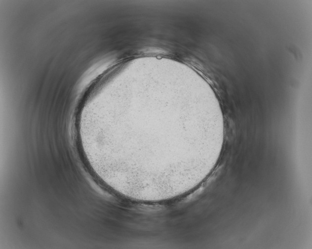 X0000113240245200910221106