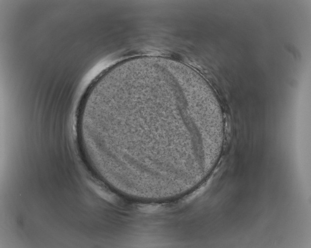 X0000113240246200910221106