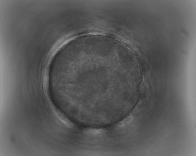 X0000113240247200910221106