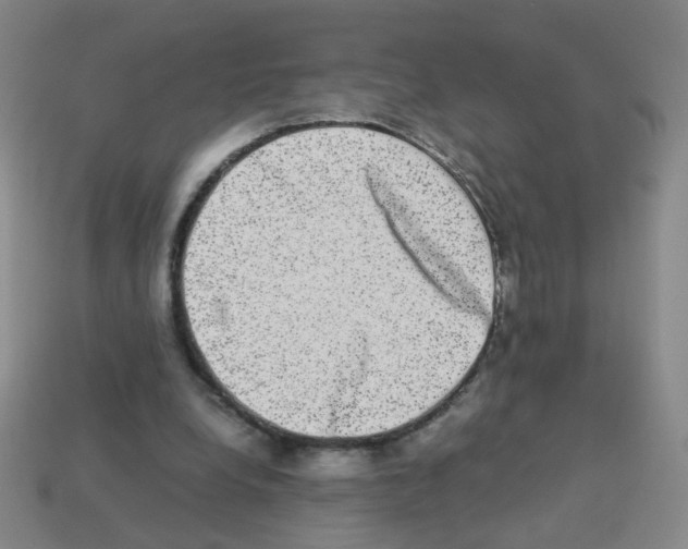 X0000113240248200910221106