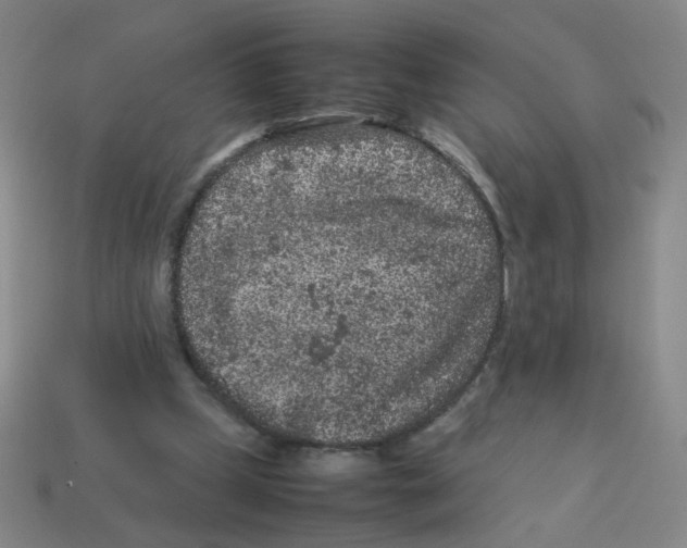 X0000113240249200910221106