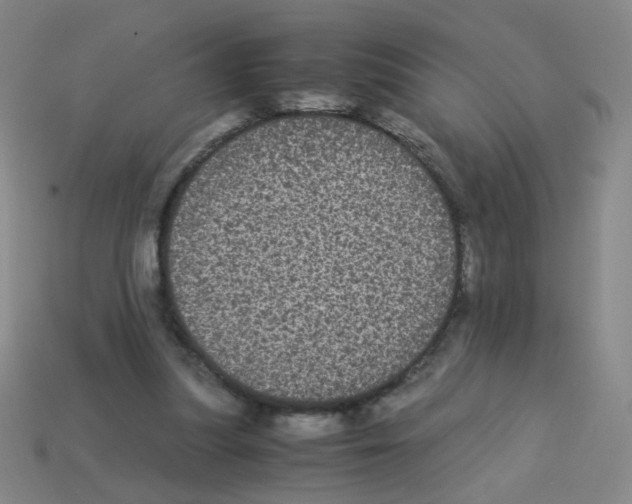 X0000113240251200910221106