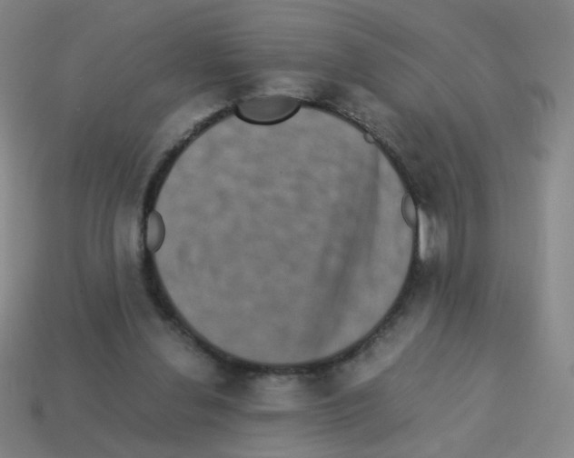 X0000113240252200910221106