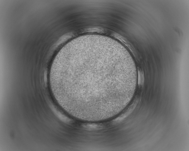 X0000113240253200910221106