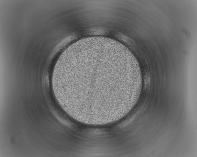 X0000113240254200910221106