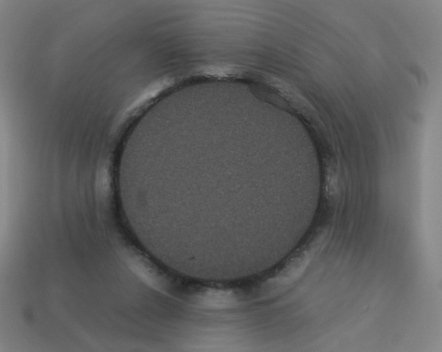 X0000113240256200910221106