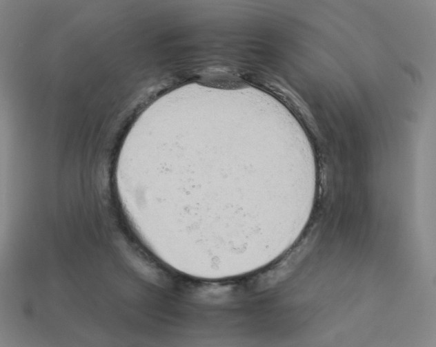X0000113240257200910221106