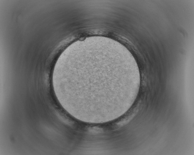 X0000113240258200910221106