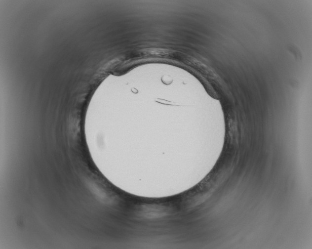 X0000113240259200910221106
