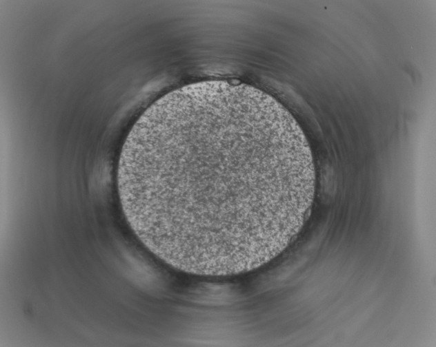 X0000113240260200910221107