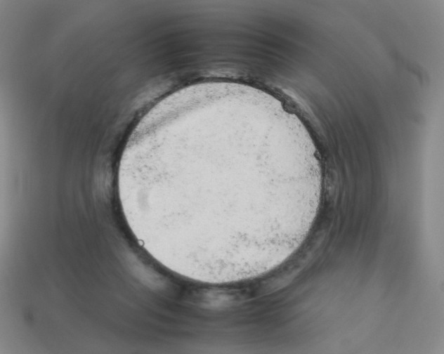 X0000113240261200910221107
