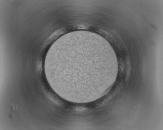 X0000113240262200910221107