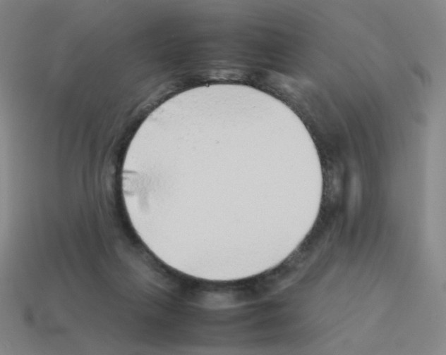 X0000113240263200910221107