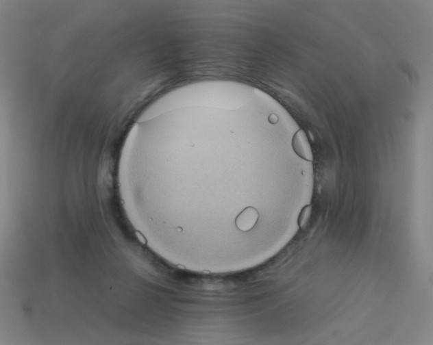 X0000113240264200910221107