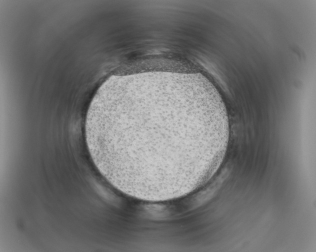 X0000113240265200910221107