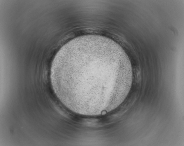 X0000113240266200910221107