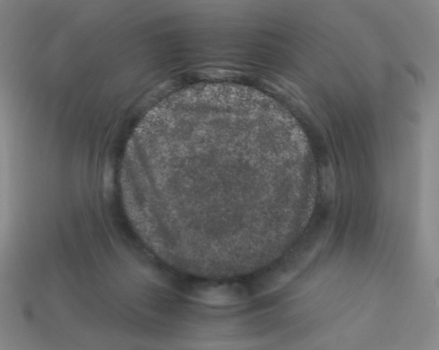 X0000113240267200910221107