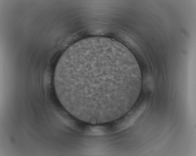 X0000113240268200910221107
