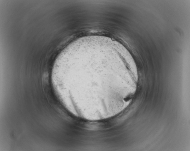 X0000113240269200910221107